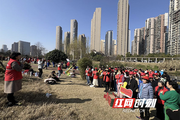 雨花家园社区：党建引领聚合力，携手植树添新绿